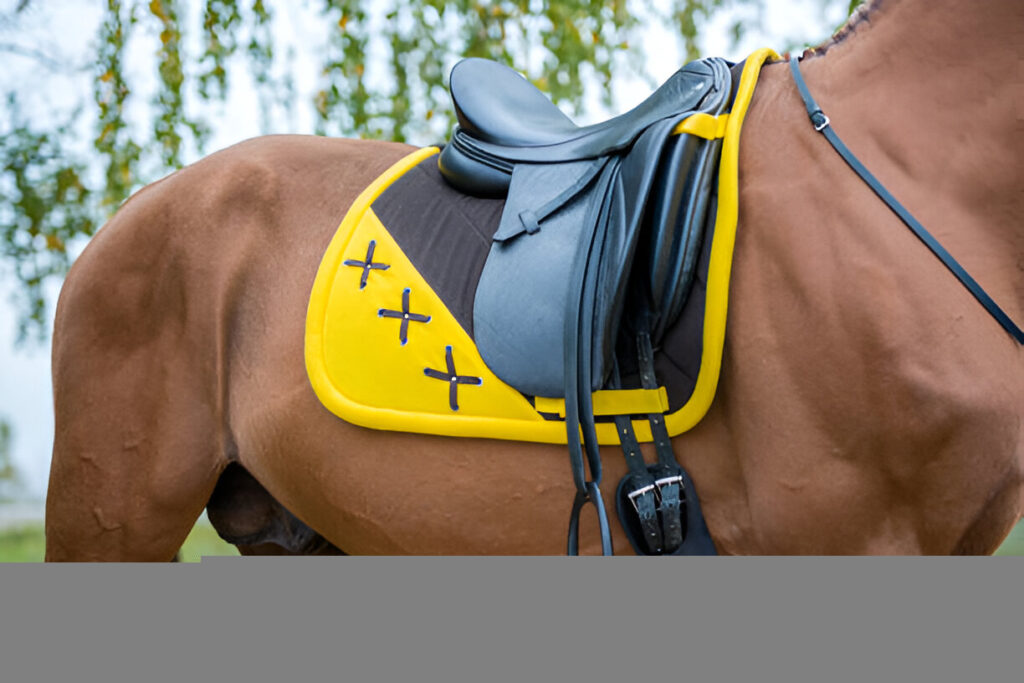 Close-up view of a premium wool felt 5 star saddle pad highlighting its thick texture and contour design.