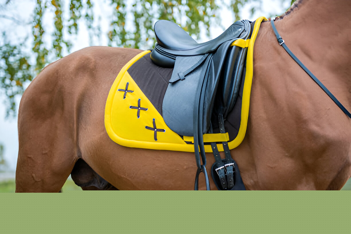 Close-up view of a premium wool felt 5 star saddle pad highlighting its thick texture and contour design.