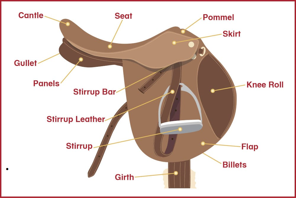 Labeled diagram illustrating essential English horse saddle parts including pommel, seat, flap, and stirrup.