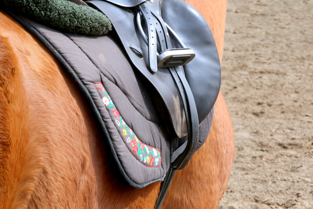 Horse wearing a well-fitted Impact Gel saddle pad designed for equine comfort and shock absorption.