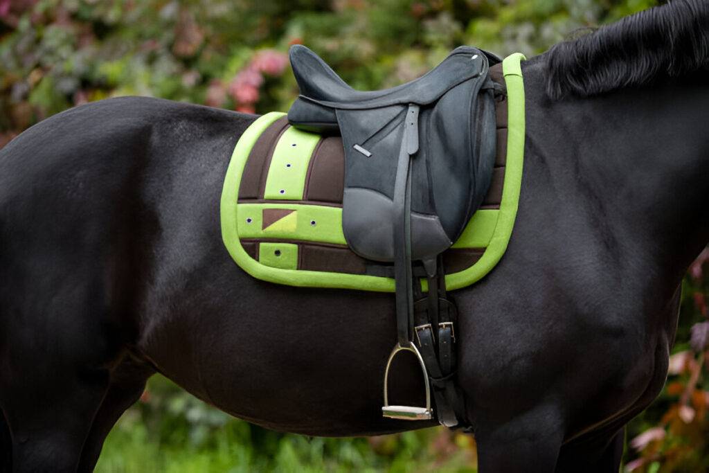 Close-up of a treeless saddle on a horse during trail riding, highlighting flexible design and spine clearance.