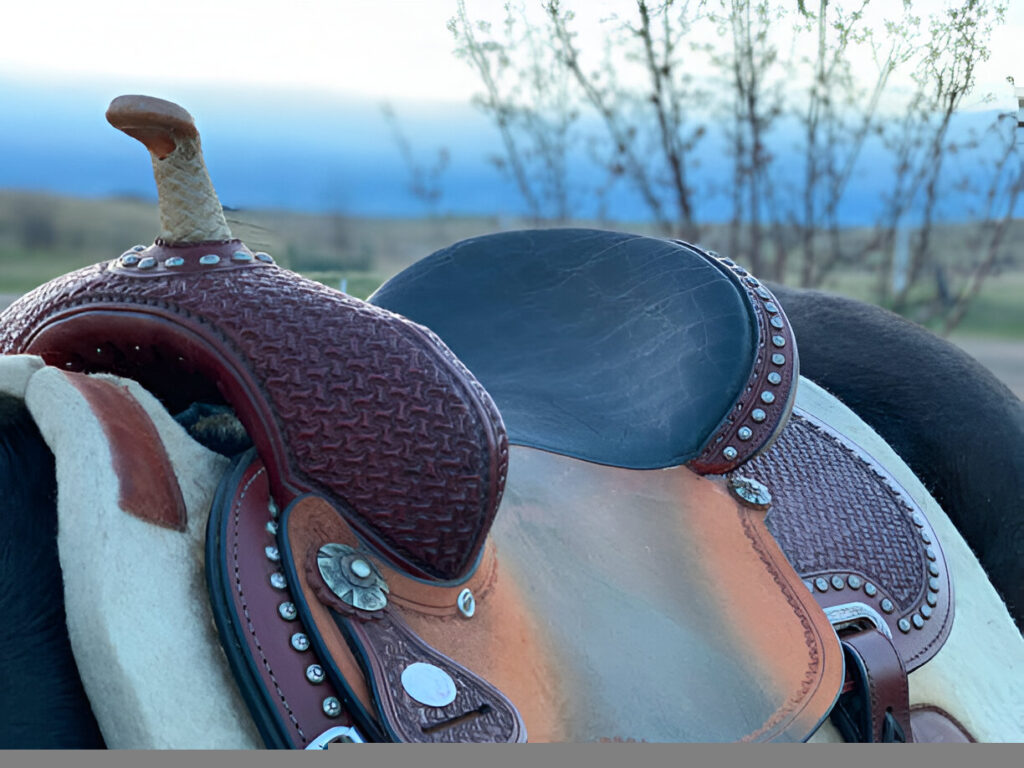 Detailed view of a leather **barrel saddle** correctly fitted on a Quarter Horse's back.