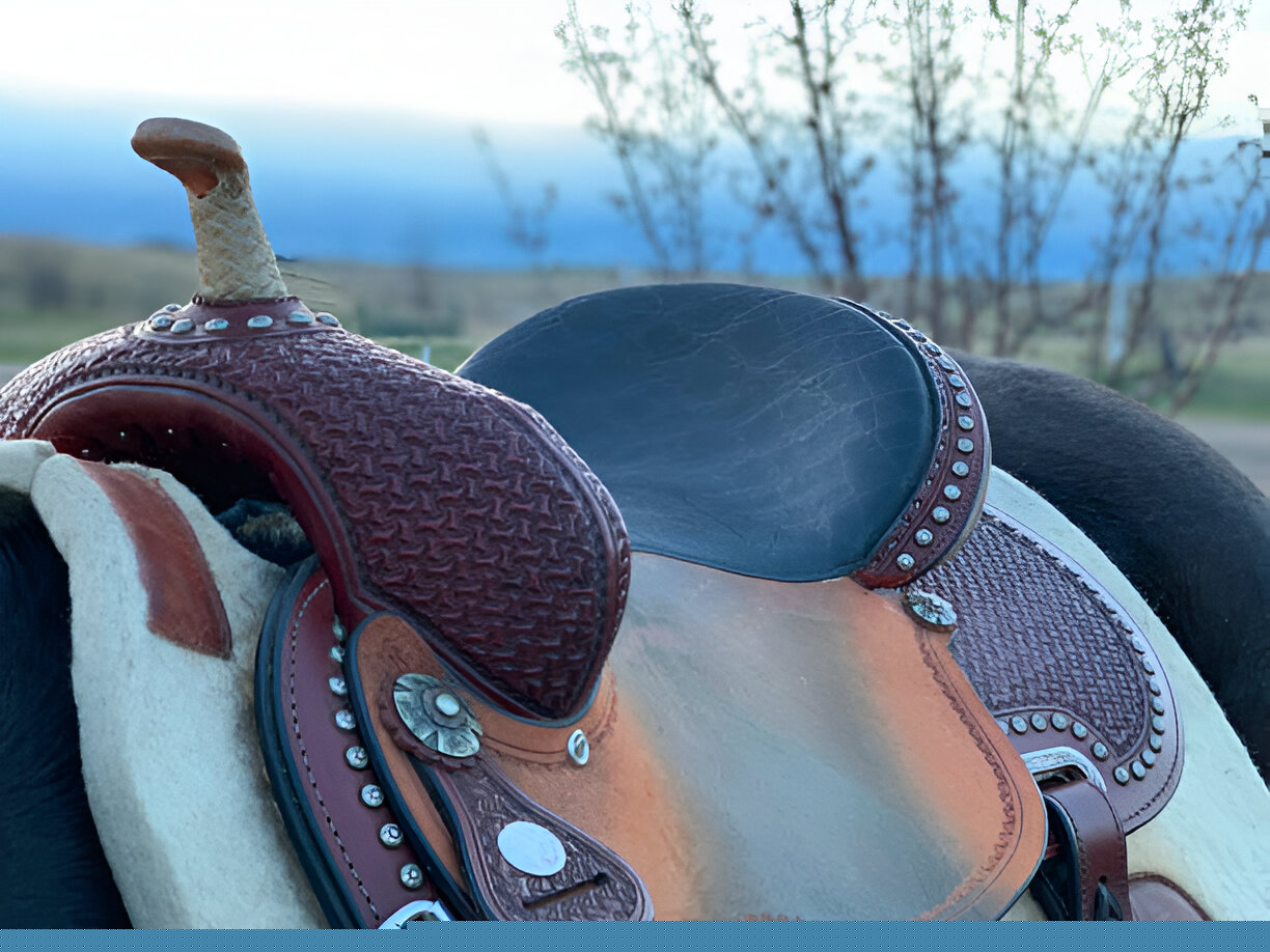 Detailed view of a leather **barrel saddle** correctly fitted on a Quarter Horse's back.